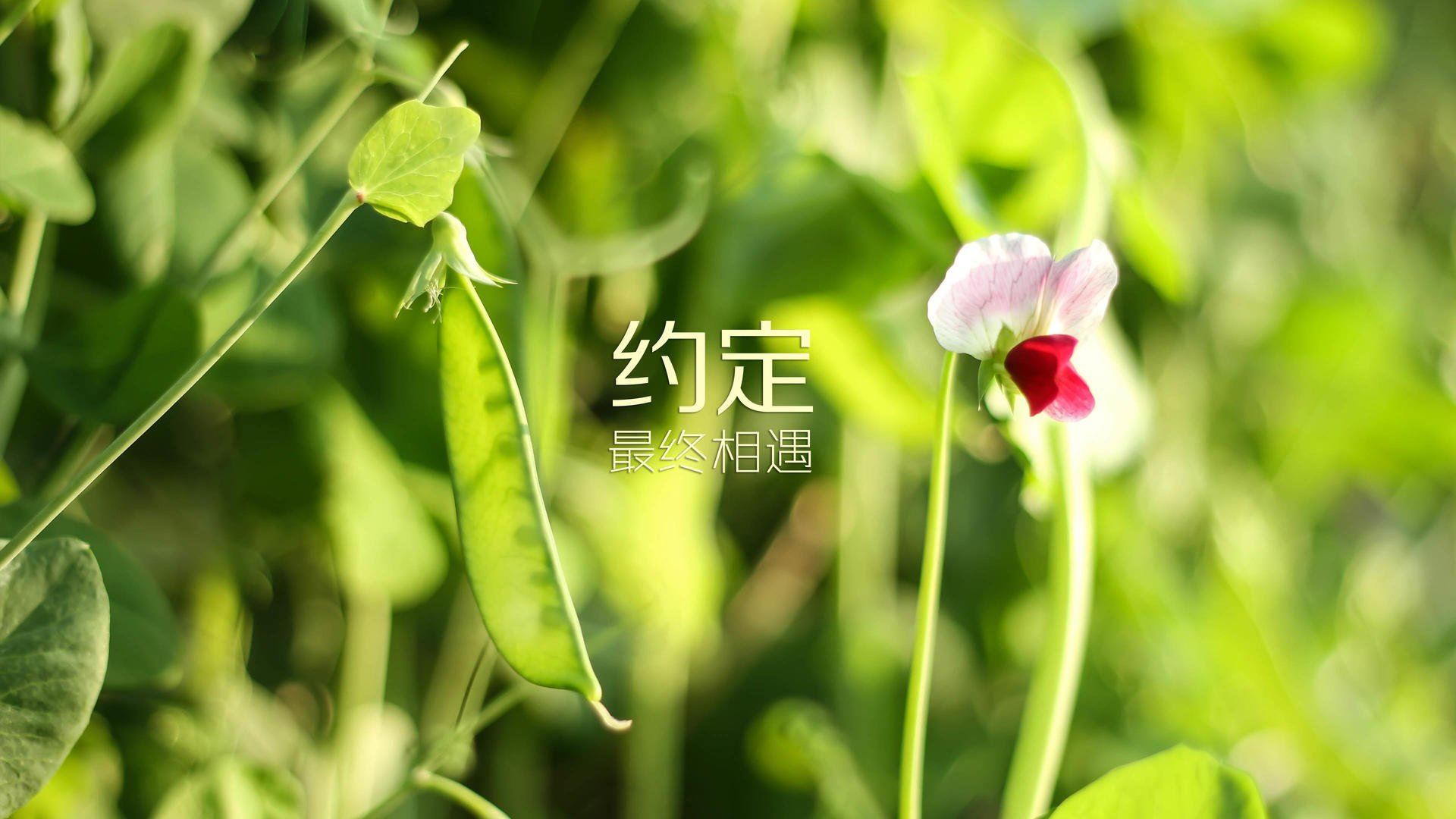 华体会hth娱乐平台-_勇士战术升级，赢得关键比赛_，勇士 战术