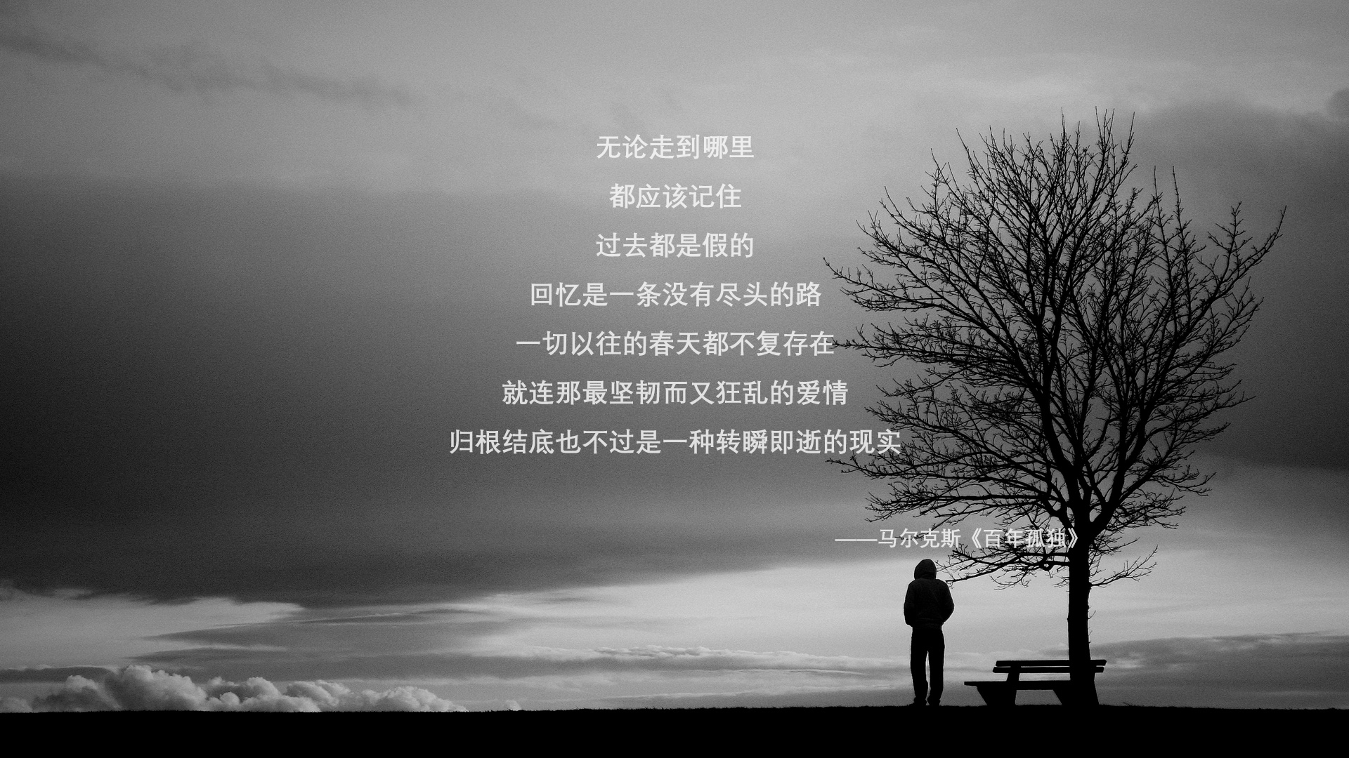 华体会在线-库里连续多场三分球命中,改写比赛的战术规则!,库里本赛季三分球命中数