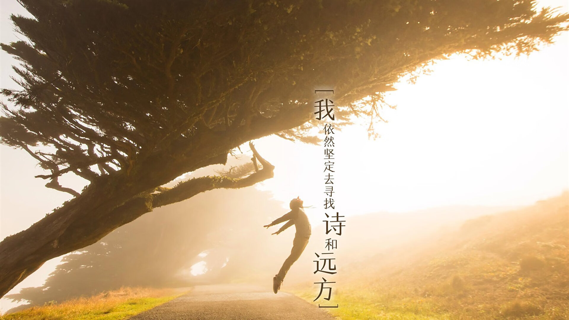 掘金设立“观赛者之声奖”，让球迷影响战术投票