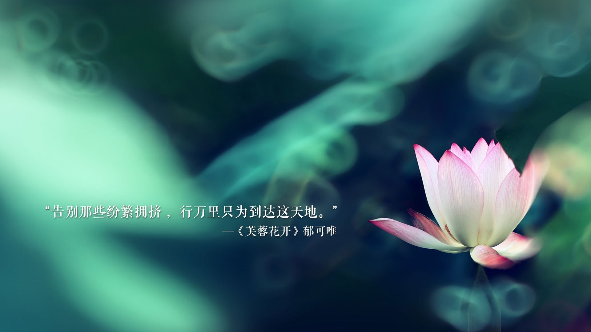 华体会hth平台-特色野外越野战争游戏，团队合作的极限考验，越野竞技游戏