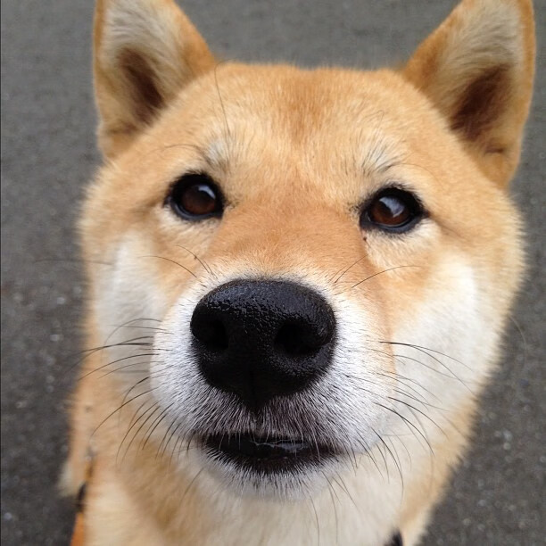 青训营地引入高端仿真模拟器,训练效果显著提升,模拟训练室