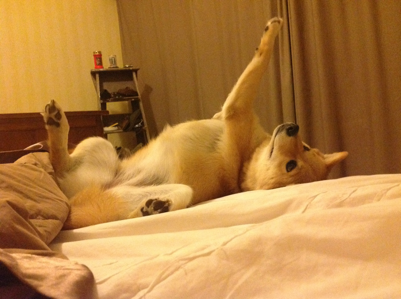 华体会平台娱乐-博卡青年球员获月度最佳，博卡青年队历史最佳阵容