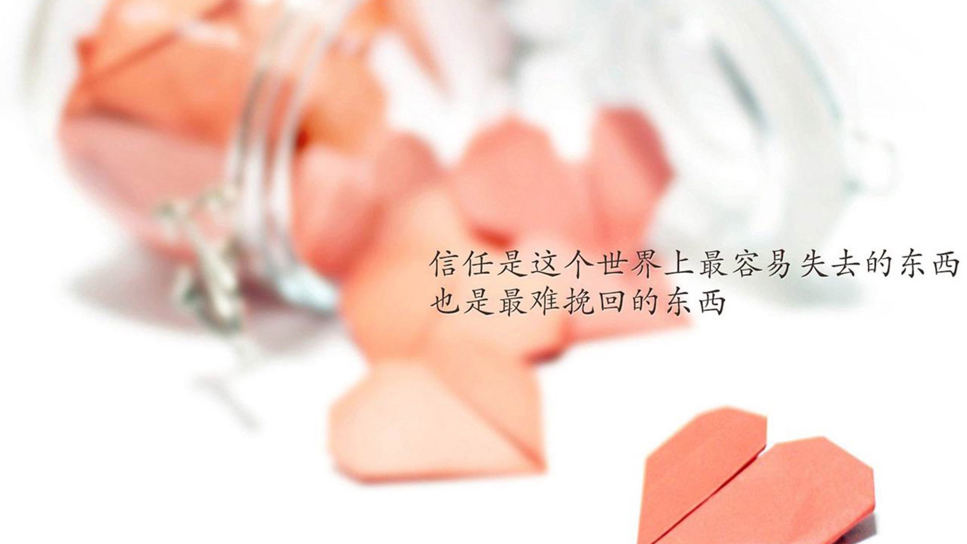 比利时与瑞士在欧预赛中争锋——现场呈现激烈对决,比利时与瑞士足球比分预测