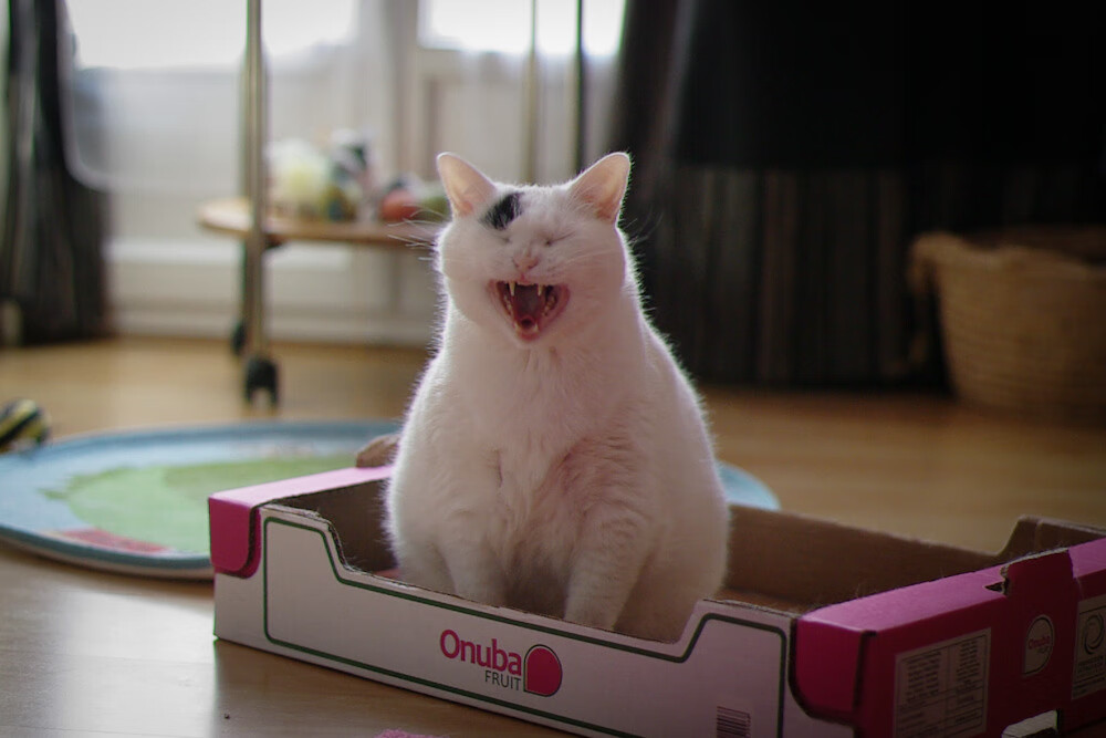 王者荣耀赛事筹备期引入公共安全体系顾问团队，王者荣耀比赛执行方案