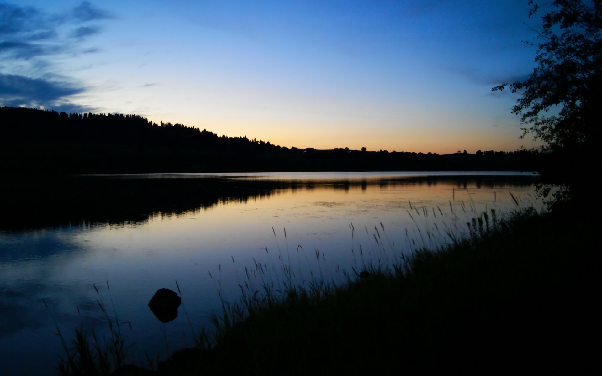球员个人能力凸显,团队合作成为关键,球员能力分布