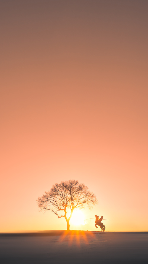 猛龙队长表示将努力保持领先,争取晋级季后赛,猛龙队长是谁