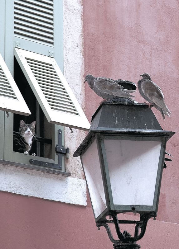 美国女足连胜西班牙队,美国女足赢了吗