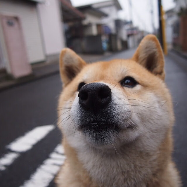 华体会hthhth app-那不勒斯是否能再次复制意甲冠军奇迹，那不勒斯获得意甲冦军是那年