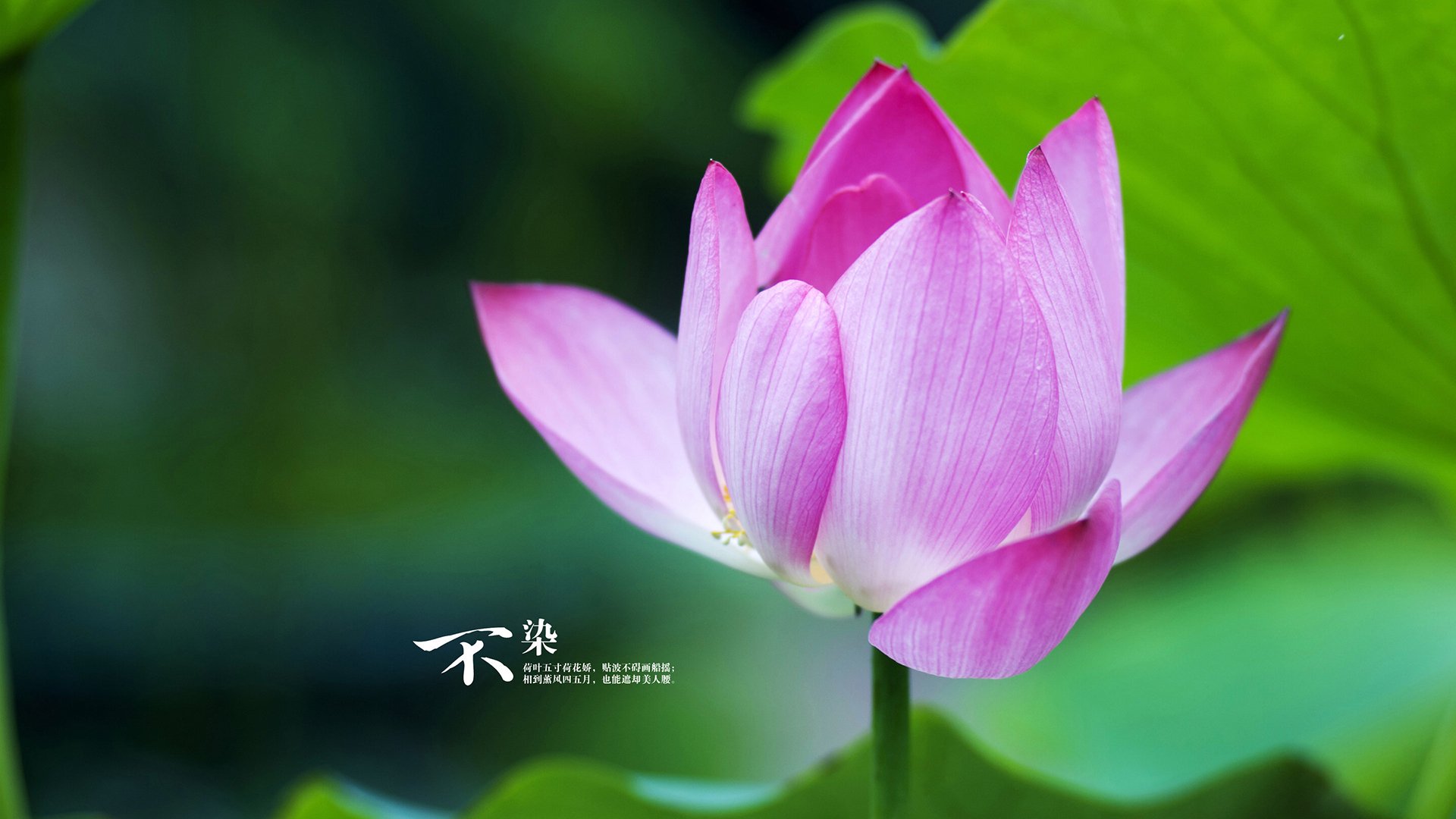 华体会hth登录地址-美国男足在巴黎奥运会比赛中表现出色，赢得银牌，美国男足 奥运会