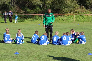 华体会在线下载-中国篮球教练员战术创新能力培养研究，篮球教练员职业素养的三大核心