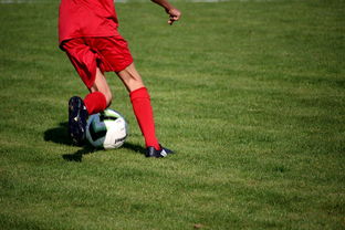 华体会hth-中国青少年篮球运动员伤病防控体系建设，青少年篮球训练现状分析