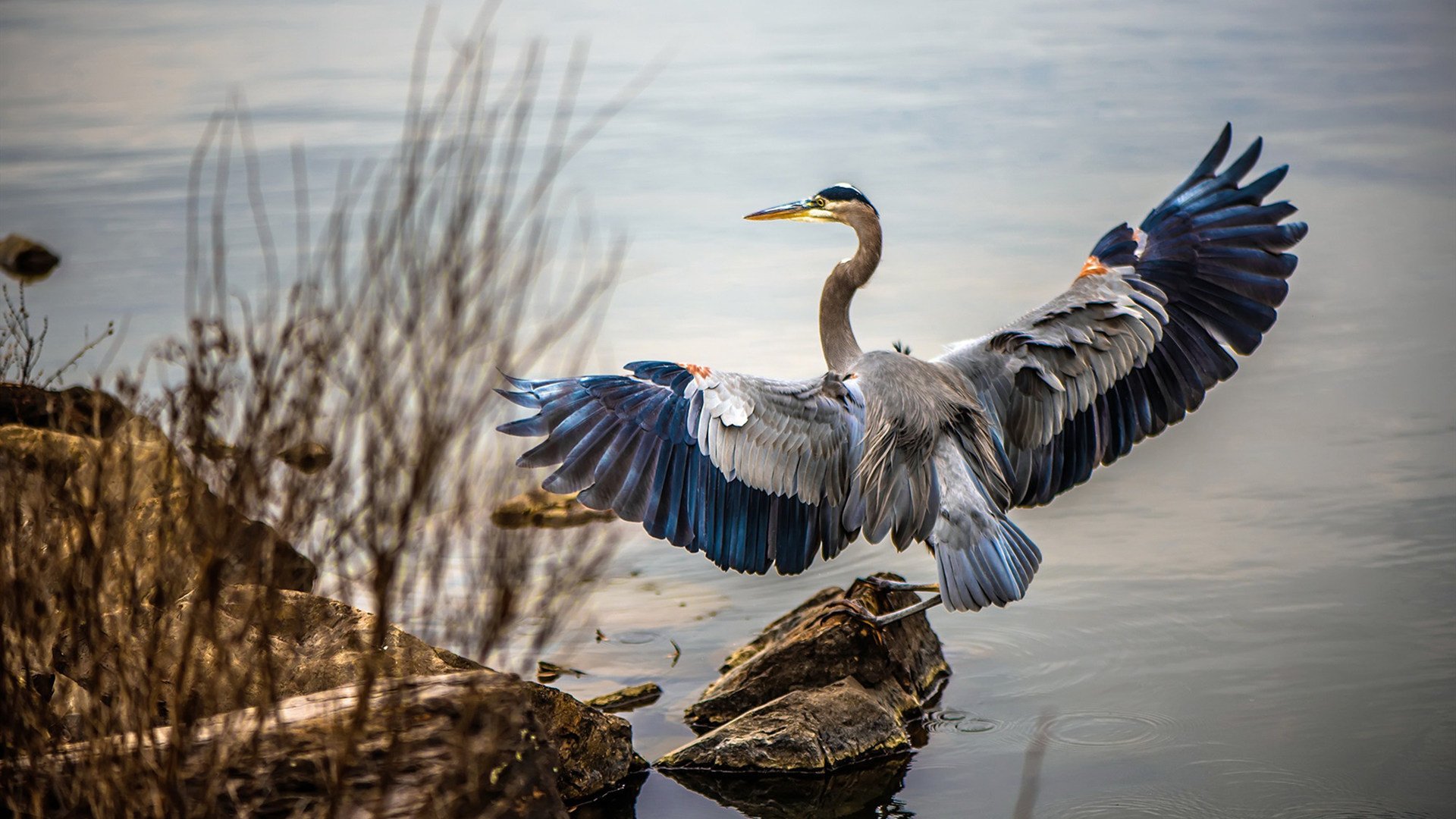 中国青少年篮球运动员伤病防控体系建设,青少年篮球训练现状分析