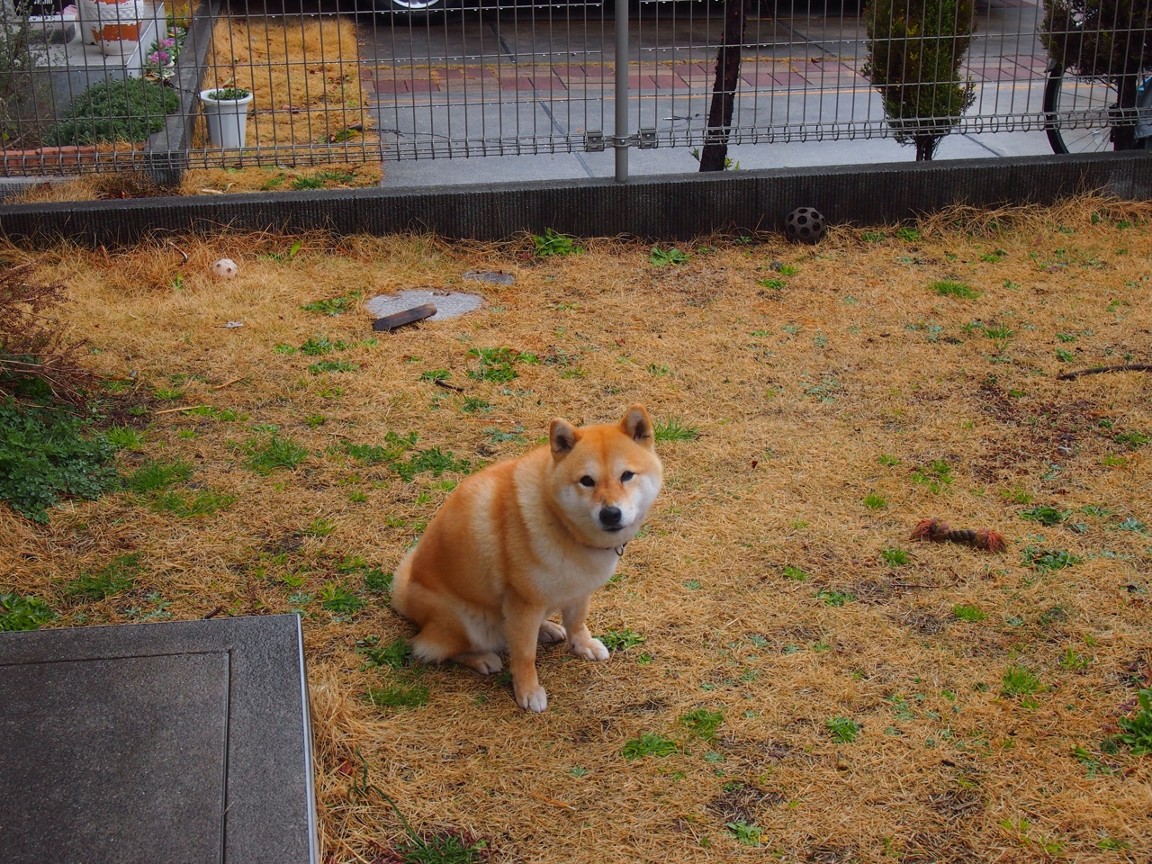 全国滑雪公开赛冬日燃情开赛,全国滑雪冠军赛