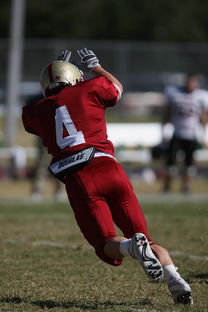 华体会hthapp下载-德甲球队休赛期集训方式对开局表现影响，德甲青训规则