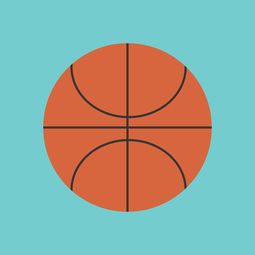 华体会官方网站-篮球运动信息化管理平台设计与应用，篮球信息app