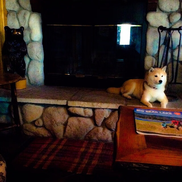 “腰旗式美式橄榄球:东部新区赛场引领新潮流运动风尚”