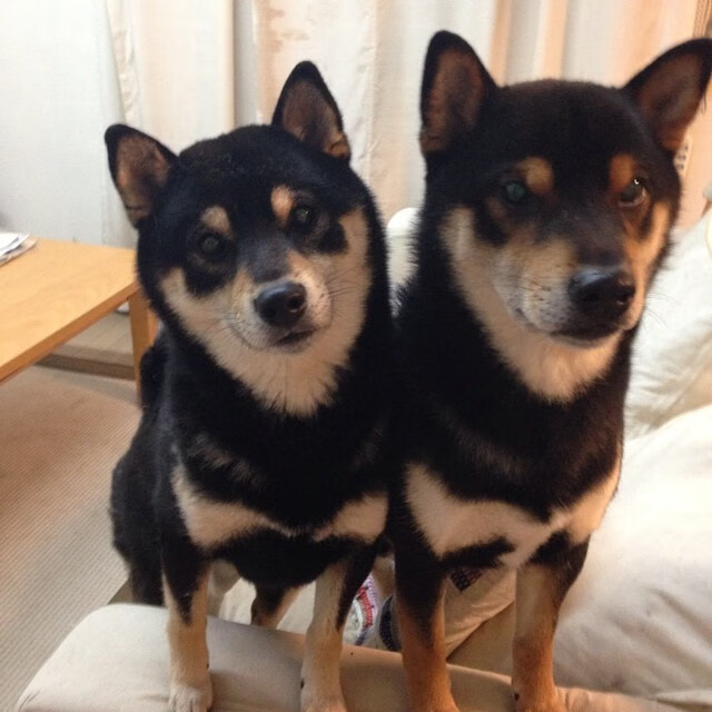 中国足球品牌形象塑造难点,中国足球十大制造品牌