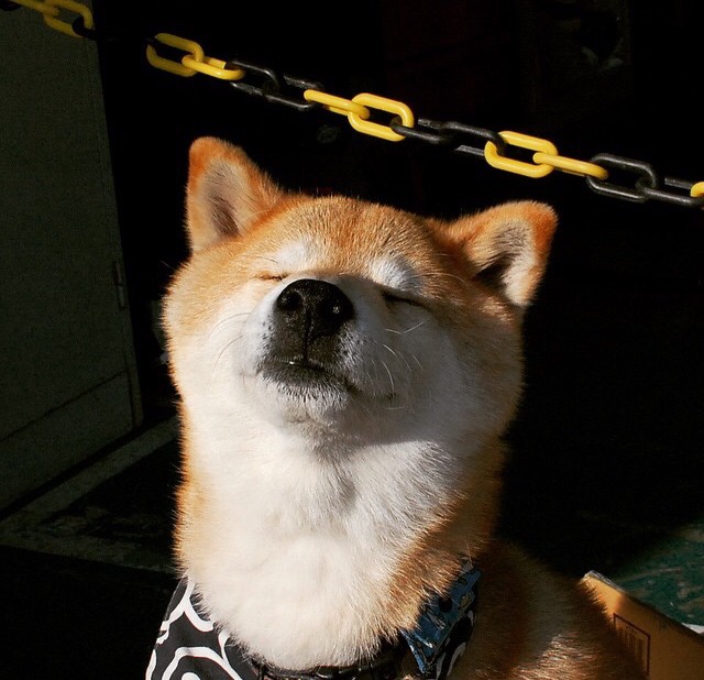 中超新引入战术是否受到五大联赛趋势影响,中超新规则什么玩意儿