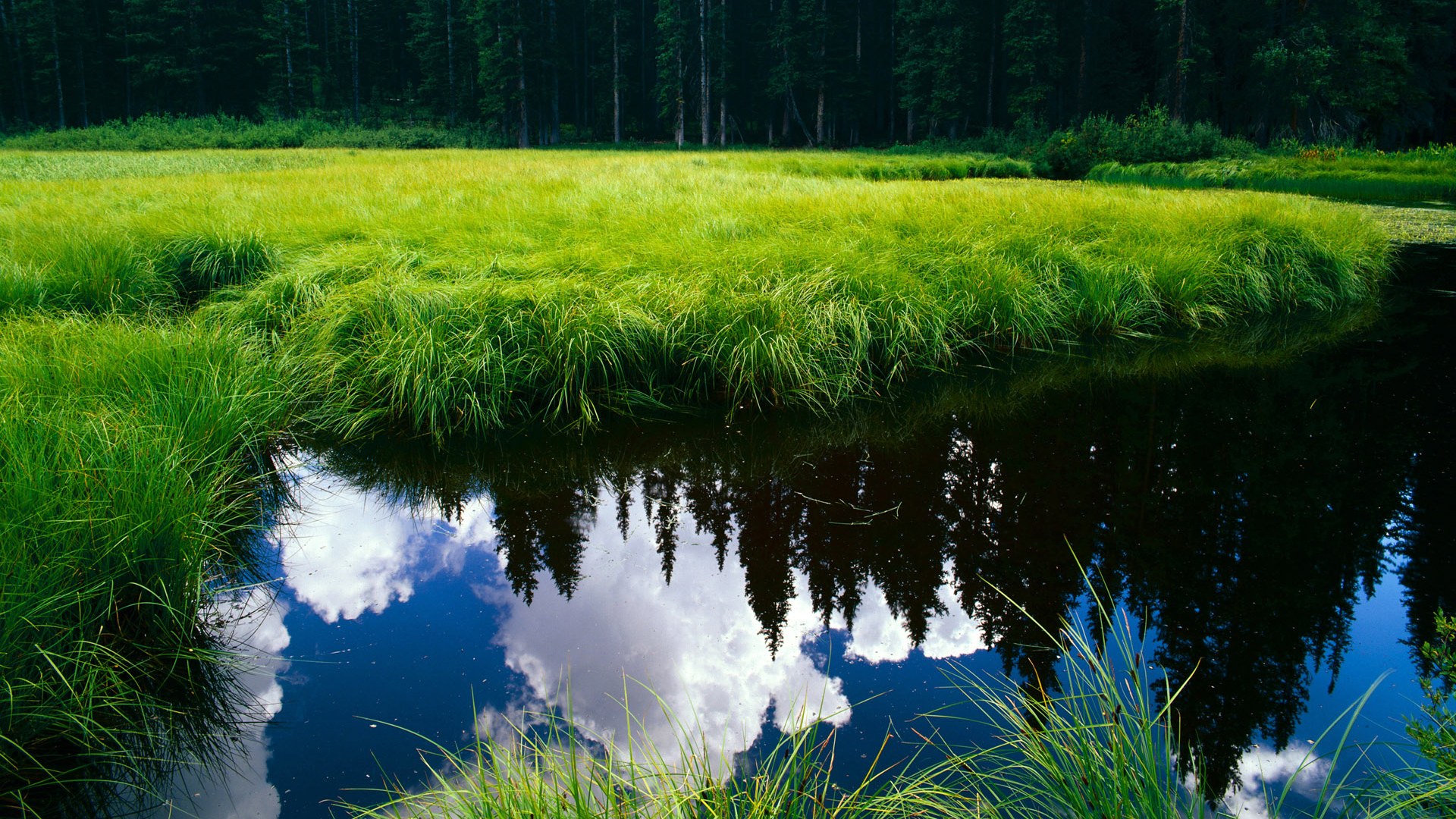 华体会hthapp注册-后卫得分能力提升传统控卫思路受挑战，得分后卫打控卫