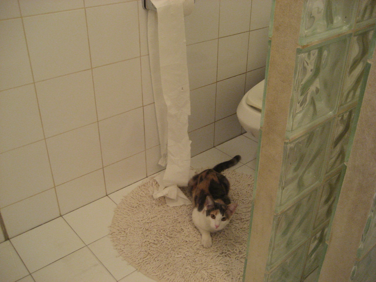 国际热身赛中国青年队晋级 球员状态出色,国家队热身赛有出场费吗