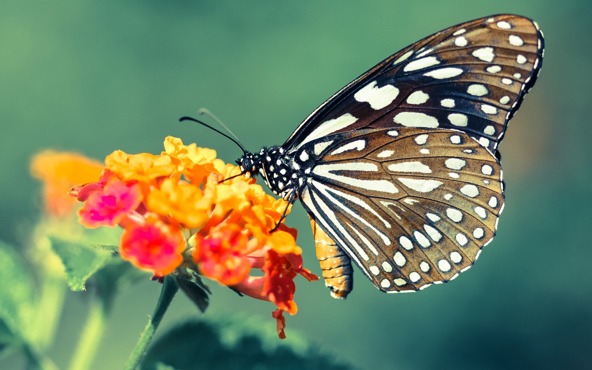 华体会在线-替补席火力全开谁是板凳奇兵，板凳球员和替补球员
