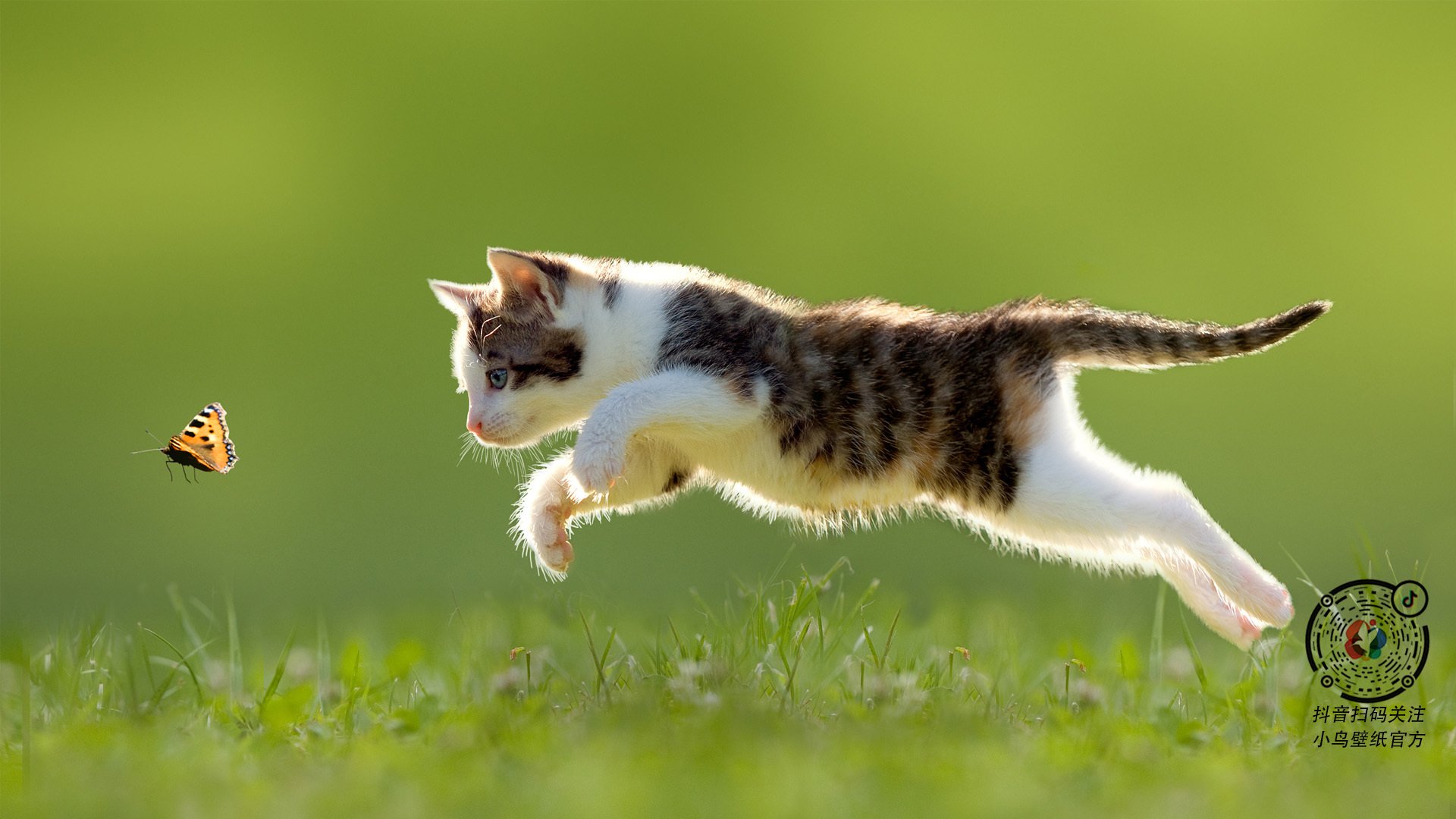 替补席火力全开谁是板凳奇兵,板凳球员和替补球员