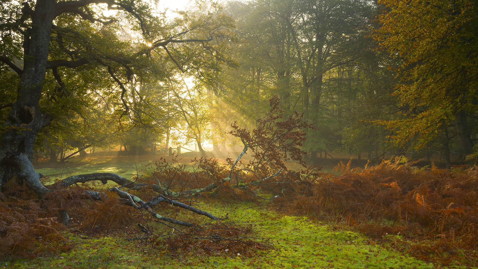 俱乐部利用智能分析技术提升球员比赛数据解读能力,足球俱乐部数据分析师