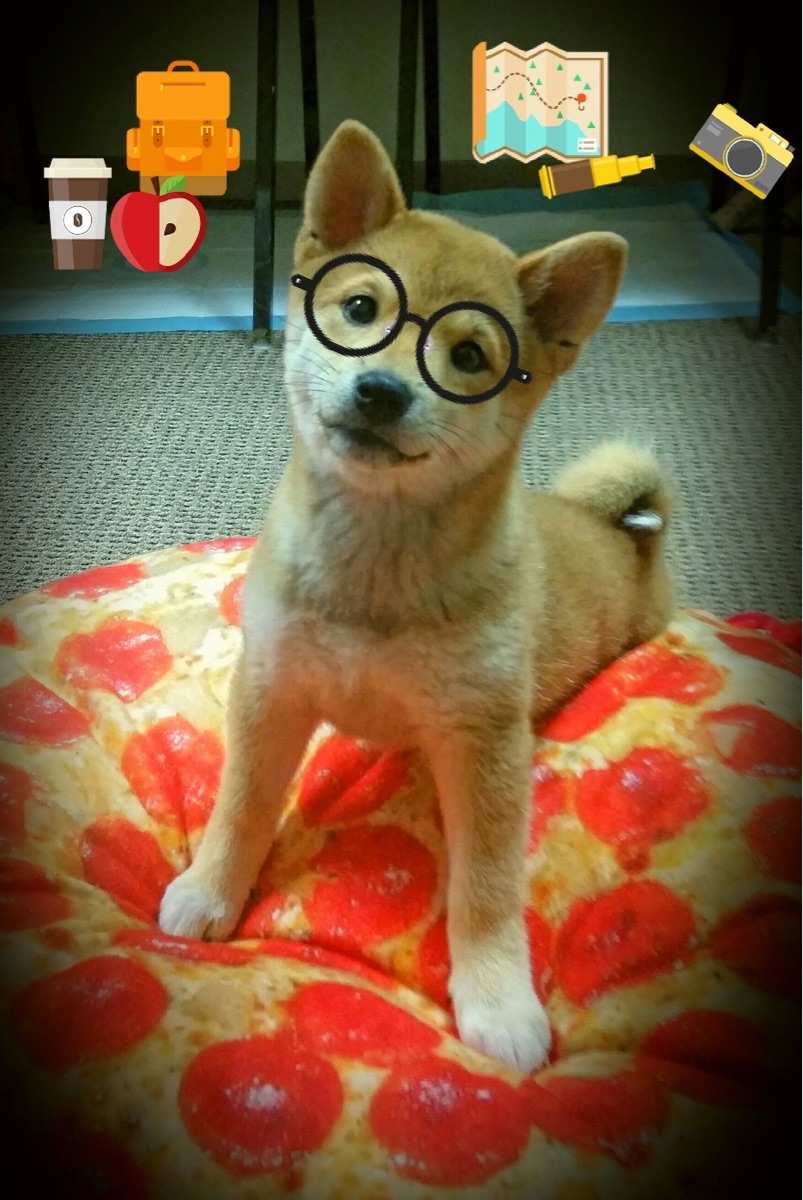 全黑队的防守策略严密且迅速反击，形成致命打击，全黑球衣什么意思