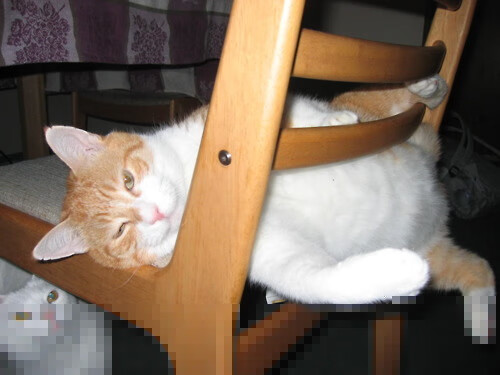 华体会hth官网入口-国家女篮梯队培养注重基础技术和战术意识的双重发展，国家篮球女子队