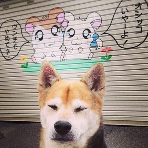 女子三米板陈艺文技压群芳,女子三米板颁奖嘉宾