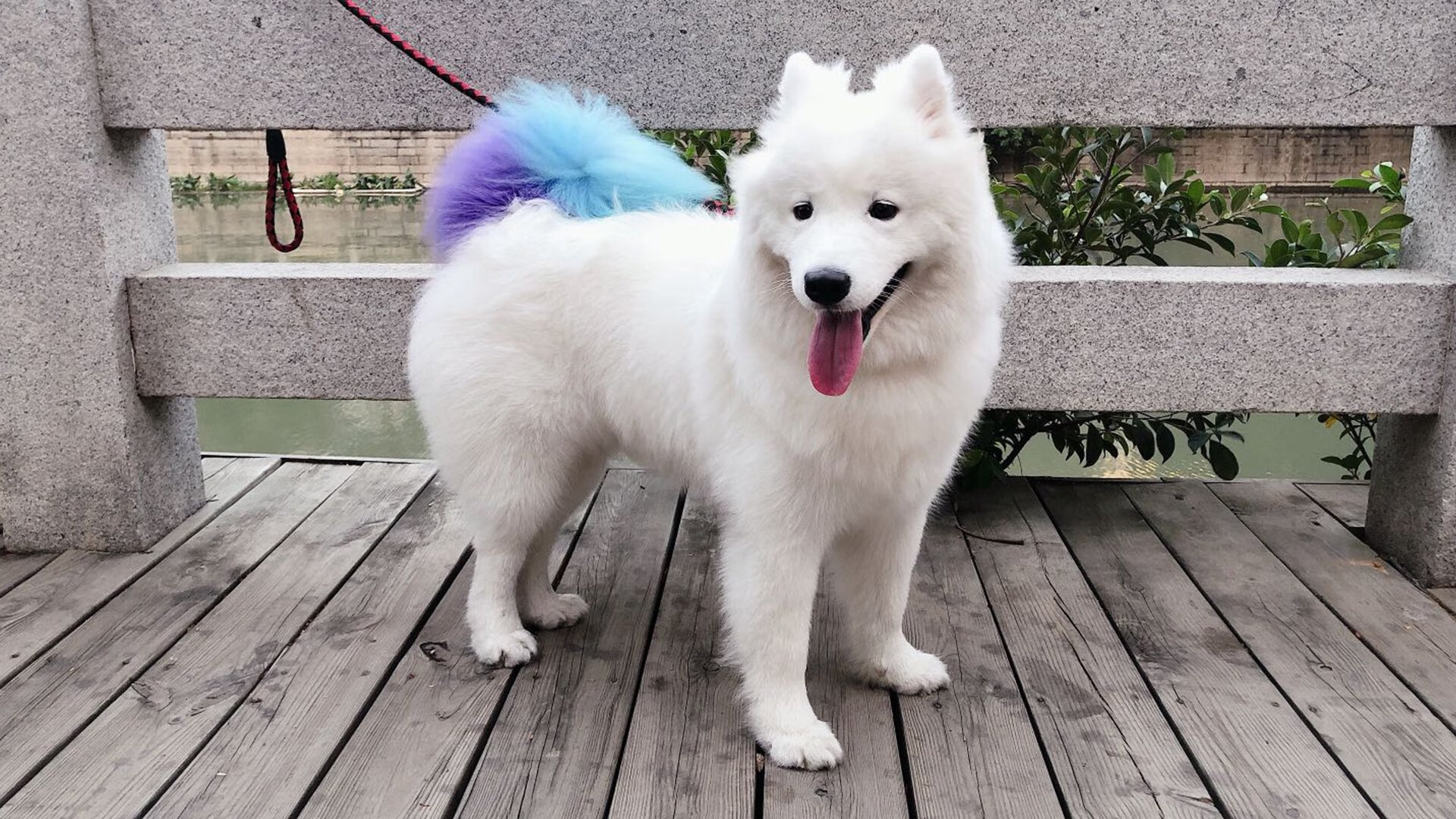 男子篮球国家队提高防守覆盖范围，男子篮球队员名单