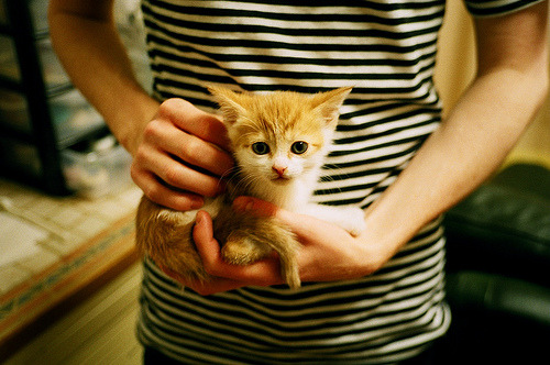 华体会hth官网-青训体系搭建多维观察通道建立长期选才机制